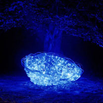 Human-Light-Nest, 2005. Ausgestellt im Rahmen von LICHT(e)WEGE, Kassel, 2005.